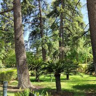 IMG20220620170554